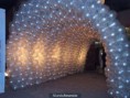 /album/fotogaleria/a1269359699-82386983-2-fotos-de-decoraciones-para-eventos-500x375-jpg/